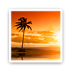 Photo album – gallery with multi-uploading images cetacs (cetacs.photogallery) - solution for Bitrix