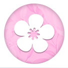 StopTime: Flower shop at the start (stoptime.flowers) - solution for Bitrix