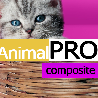Goods for pets. Feed (AnimalPRO). Professional online store (Russian + English) (redsign.prozoo) - solution for Bitrix