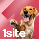 1Site.NKO - Website of a non-profit organization, charitable foundation (onesite.nko) - solution for Bitrix