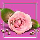 Florist: delivery of flowers, gifts, flower shop at Start (webstudiosamovar.kodveri2) - solution for Bitrix