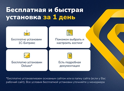 Deluxe - multifunctional online store 2 in 1 (dw.deluxe) - solution for Bitrix