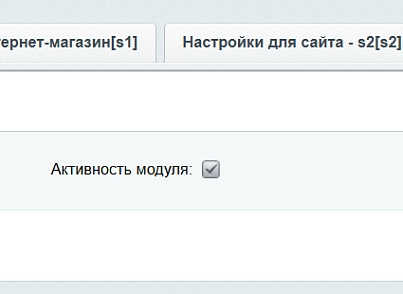 Module for creating micro-markup Schema.org/Article on a site on CMS 1C-Bitrix (inraise.article) - solution for Bitrix
