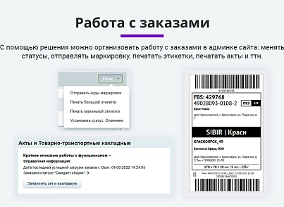 Интеграция с Ozon (Озон). Цены, остатки, заказы, статусы, акты (arturgolubev.ozon) - solution for Bitrix