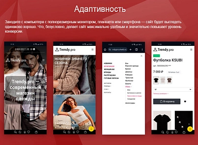 Trendy.Pro: clothing, footwear and accessories store. (vlweb.trendypro) - solution for Bitrix
