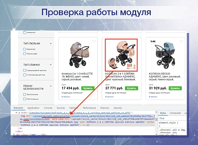 Webp - Конвертер изображений в современный формат «на лету» (delight.webpconverter) - solution for Bitrix